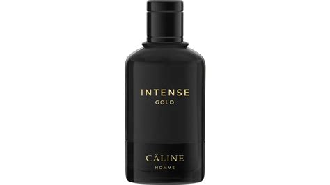 celine homme intense gold